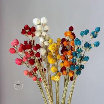 Flori uscate de căpșună — făcute manual, naturale, ornamente pentru mobilier