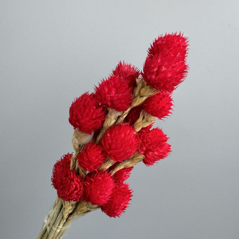 Flori uscate de căpșună — făcute manual, naturale, ornamente pentru mobilier