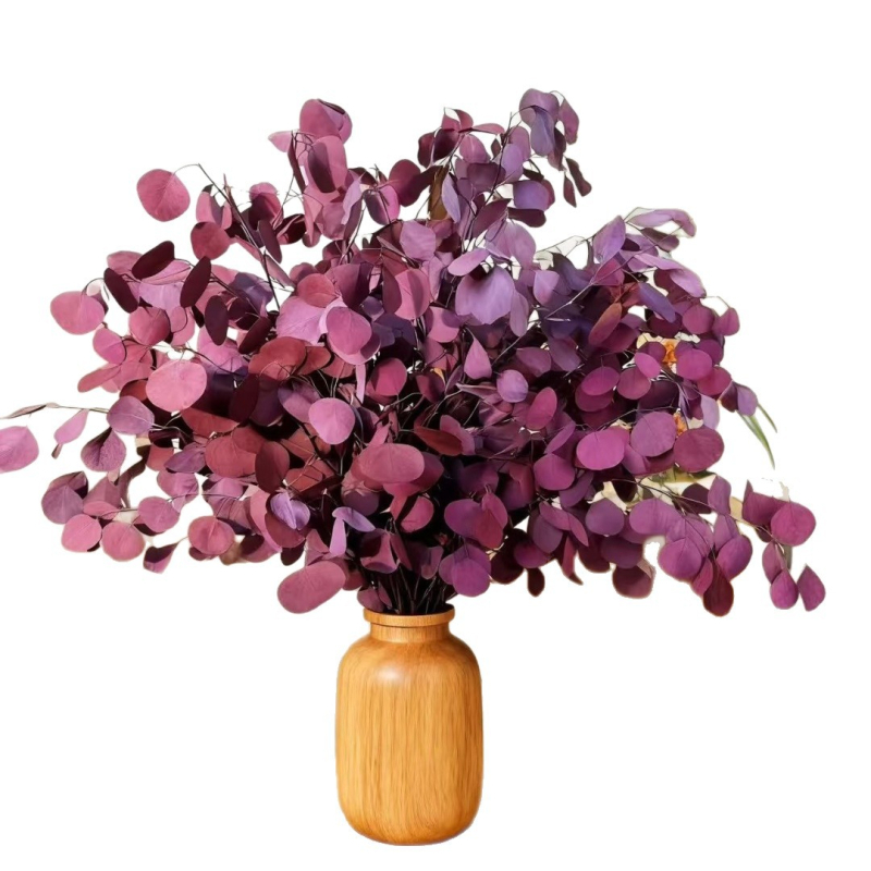 Hua xi shi марка; Материал: Друг; Занаят: Друг; Вид: Друг; Без внос