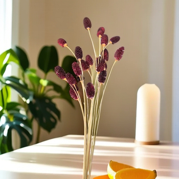 Buchet cu flori conservate, varietate Eryngium, fără marcă