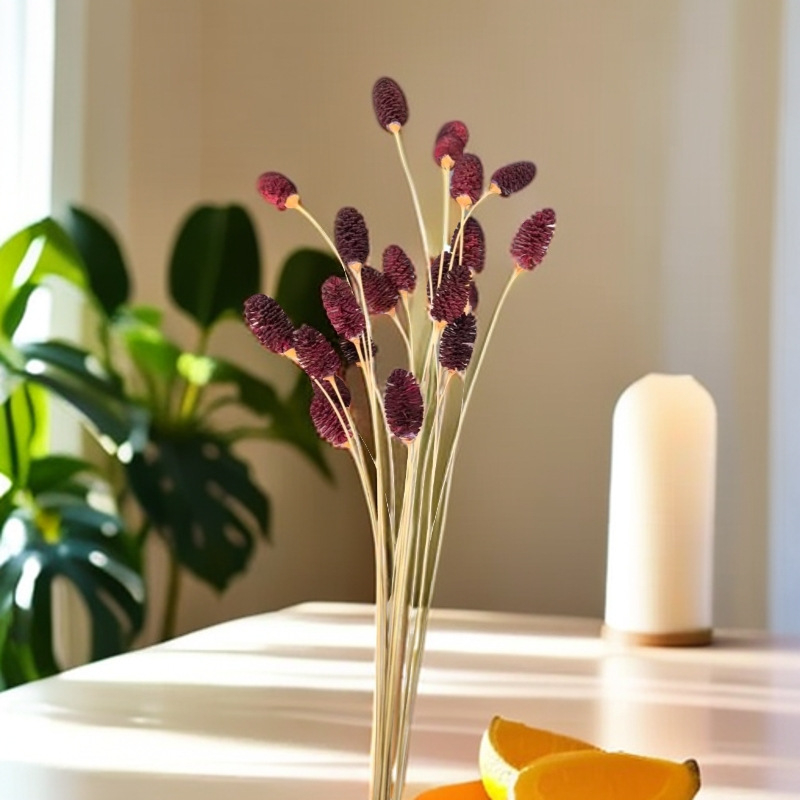 Buchet cu flori conservate, varietate Eryngium, fără marcă