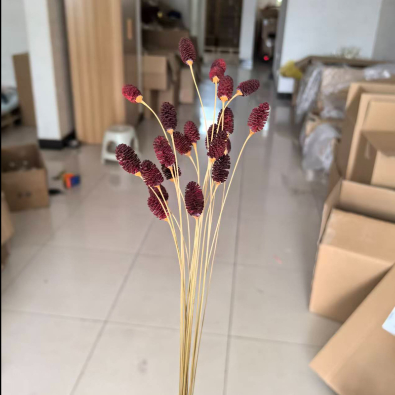 Buchet cu flori conservate, varietate Eryngium, fără marcă