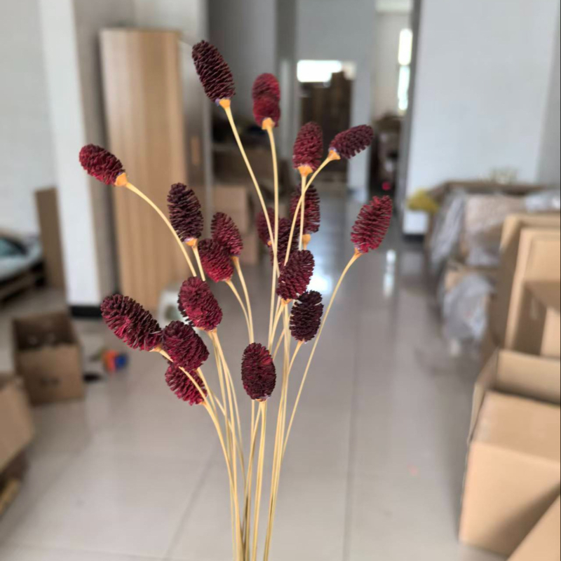 Buchet cu flori conservate, varietate Eryngium, fără marcă