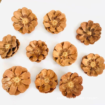 Fenyőtoboz virágok Daisy — drótos szövésű kézműves készlet esküvői dekorációhoz