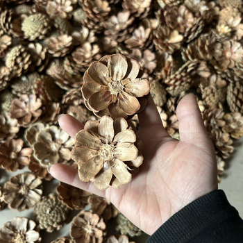 Fenyőtoboz virágok Daisy — drótos szövésű kézműves készlet esküvői dekorációhoz