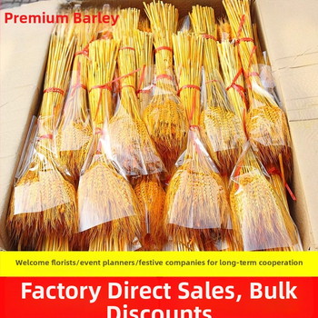 Barley kuivatatud oksad lillekori jaoks, pakkimine kotis, bränd Mark More