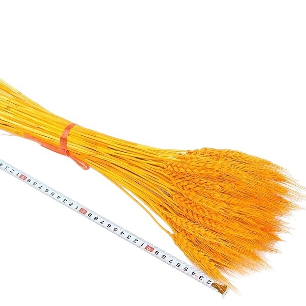 Barley kuivatatud oksad lillekori jaoks, pakkimine kotis, bränd Mark More