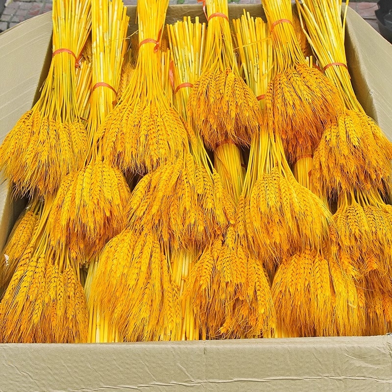 Barley kuivatatud oksad lillekori jaoks, pakkimine kotis, bränd Mark More