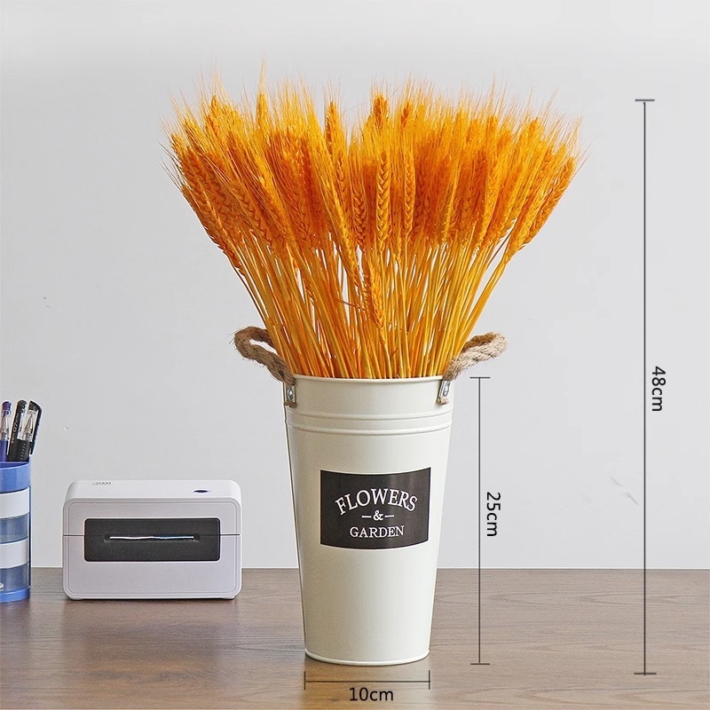 Barley kuivatatud oksad lillekori jaoks, pakkimine kotis, bränd Mark More