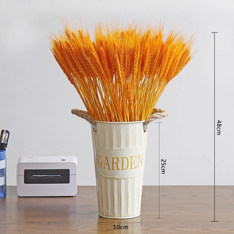 Barley kuivatatud oksad lillekori jaoks, pakkimine kotis, bränd Mark More