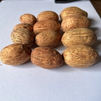 Материал за натурални плодови сашета за фотографски реквизит и DIY проекти; вид: Друг; опаковка: тъкана торба или картонена кутия; занаятчийство: естествено