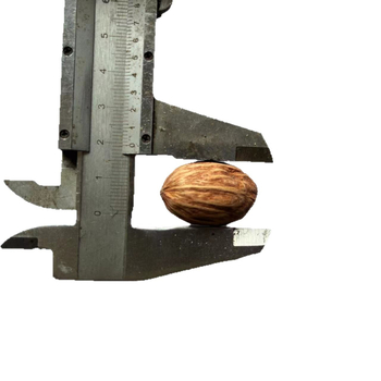 Материал за натурални плодови сашета за фотографски реквизит и DIY проекти; вид: Друг; опаковка: тъкана торба или картонена кутия; занаятчийство: естествено