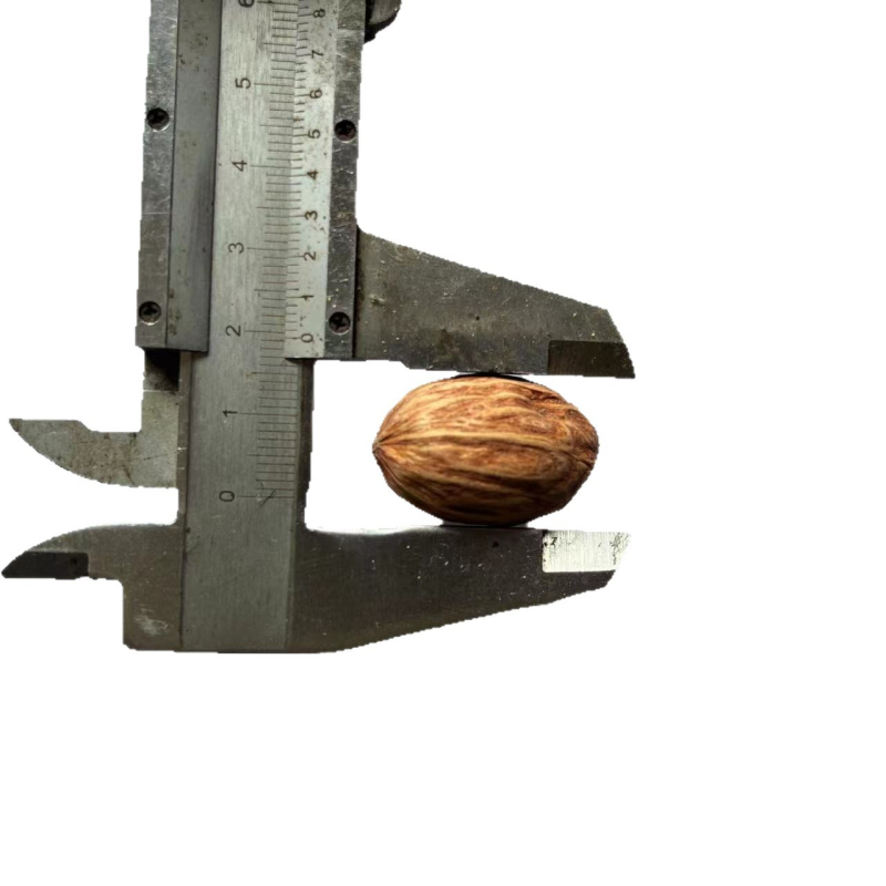 Материал за натурални плодови сашета за фотографски реквизит и DIY проекти; вид: Друг; опаковка: тъкана торба или картонена кутия; занаятчийство: естествено