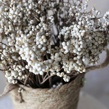 Букет от сушени цветя; изработен от сушени цветя; подходящ за подарък за различни получатели: млади хора, двойки, колеги, приятели, възрастни; подходящ за бизнес, промоционални и фестивални подаръци; Не е внесен.