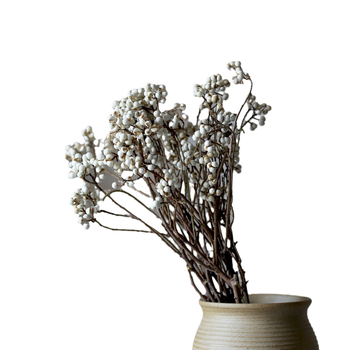 Букет от сушени цветя; изработен от сушени цветя; подходящ за подарък за различни получатели: млади хора, двойки, колеги, приятели, възрастни; подходящ за бизнес, промоционални и фестивални подаръци; Не е внесен.