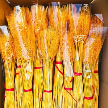 Kuivatatud rohuoksad ja lilled, värvitud, sortiment 20213, bränd Muu, kimpude jaoks