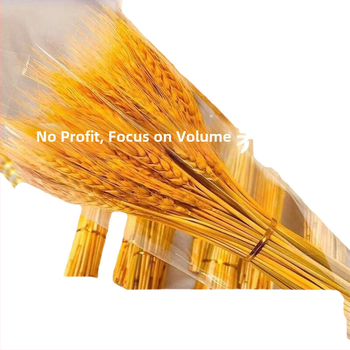 Kuivatatud rohuoksad ja lilled, värvitud, sortiment 20213, bränd Muu, kimpude jaoks