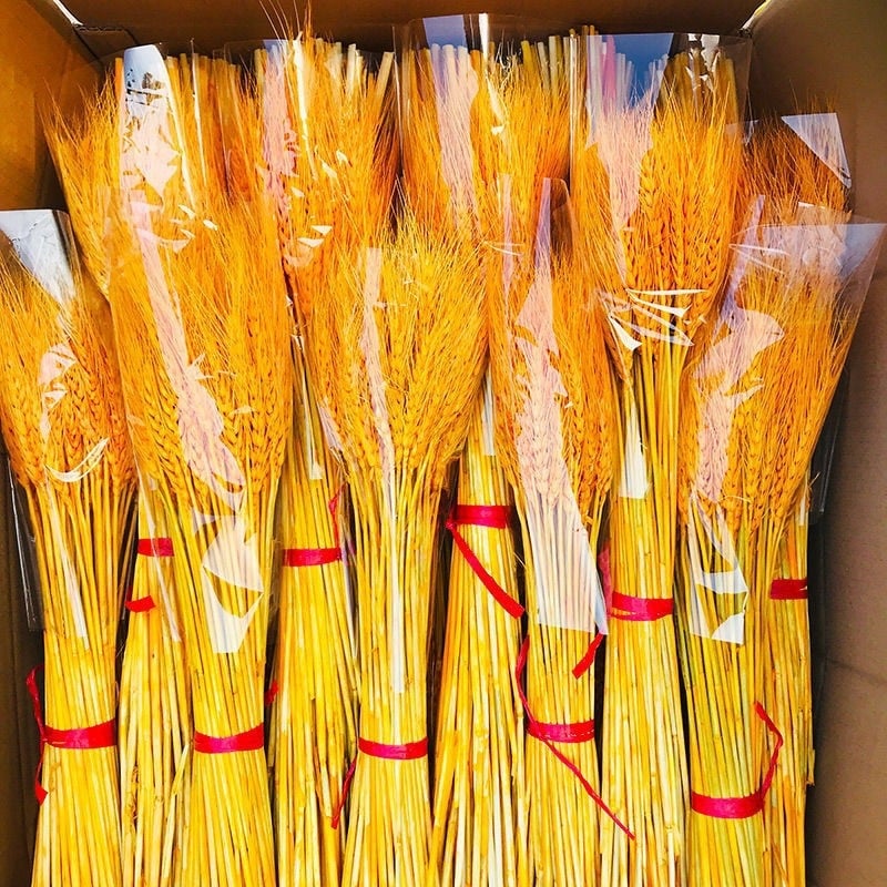 Sauss zāļu zari ar ziediem, krāsoti, šķirne 20213, zīmols Cits, pušķim