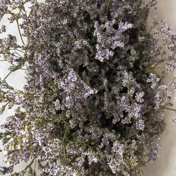 Букет сушени цветя в памучна торба; подходящ за подарък за рожден ден, дипломиране и нов дом; подходящи празници: Коледа, Свети Валентин, Денят на майката