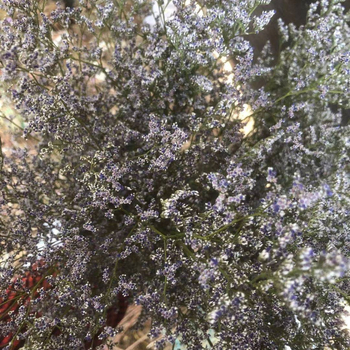 Букет сушени цветя в памучна торба; подходящ за подарък за рожден ден, дипломиране и нов дом; подходящи празници: Коледа, Свети Валентин, Денят на майката