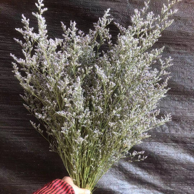 Букет сушени цветя в памучна торба; подходящ за подарък за рожден ден, дипломиране и нов дом; подходящи празници: Коледа, Свети Валентин, Денят на майката