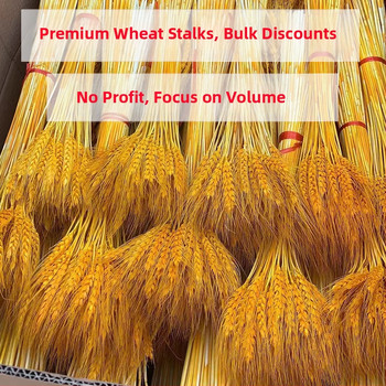 Žāvēti ziedi — kviešu ausu ziedi, kviešu salmiņa krizantēma, žāvētas lapu vēnas, krāsots, pušķa dekors