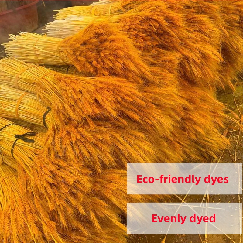 Žāvēti ziedi — kviešu ausu ziedi, kviešu salmiņa krizantēma, žāvētas lapu vēnas, krāsots, pušķa dekors