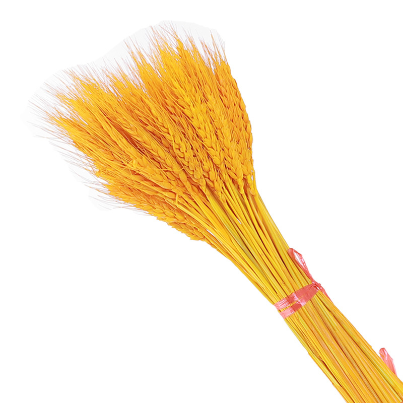 Žāvēti ziedi — kviešu ausu ziedi, kviešu salmiņa krizantēma, žāvētas lapu vēnas, krāsots, pušķa dekors