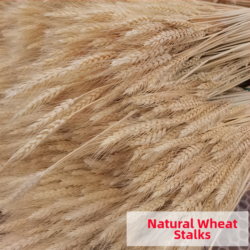 Žāvēti ziedi — kviešu ausu ziedi, kviešu salmiņa krizantēma, žāvētas lapu vēnas, krāsots, pušķa dekors