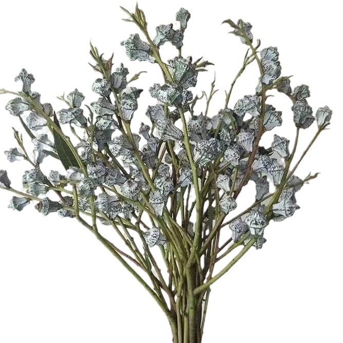 Аранжировка от сушени цветя — естествени сушени цветя, сорт 18542976, готова за подарък