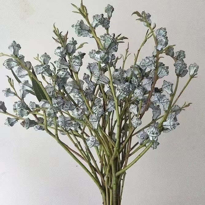 Аранжировка от сушени цветя — естествени сушени цветя, сорт 18542976, готова за подарък