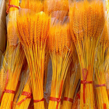 Sauss ziedu pušķis ar kviešu ausām, krāsots, paredzēts maisiņiem