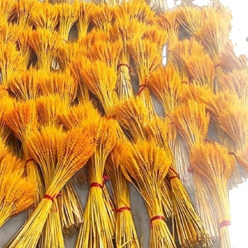 Sauss ziedu pušķis ar kviešu ausām, krāsots, paredzēts maisiņiem