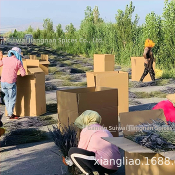 Žāvētas lavandas zari – pušķis, bez krāsošanas, masu iepakojums, zīmols Saiwai Jiangnan