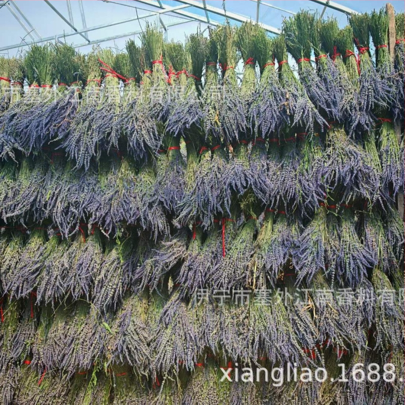 Žāvētas lavandas zari – pušķis, bez krāsošanas, masu iepakojums, zīmols Saiwai Jiangnan