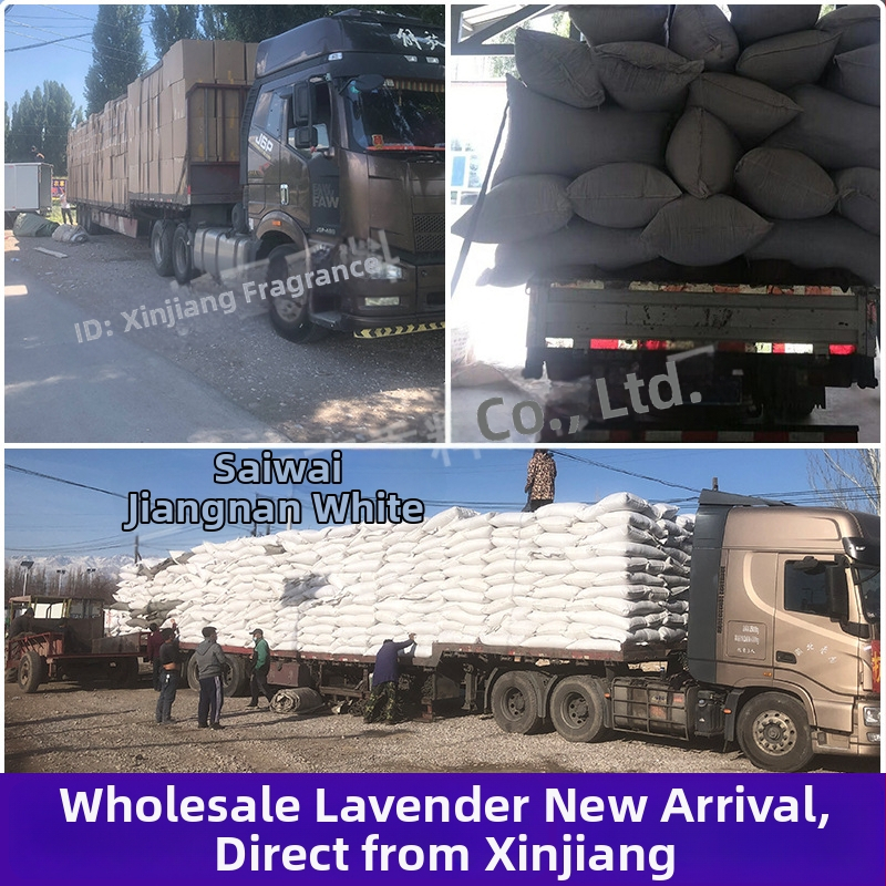 Žāvētas lavandas zari – pušķis, bez krāsošanas, masu iepakojums, zīmols Saiwai Jiangnan