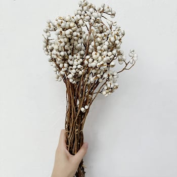 Gyümölcs csokor anyag: gyümölcs, ragadós száraz fűvirágok; Fuyao márka; csomagolás: zacskó + papírdoboz