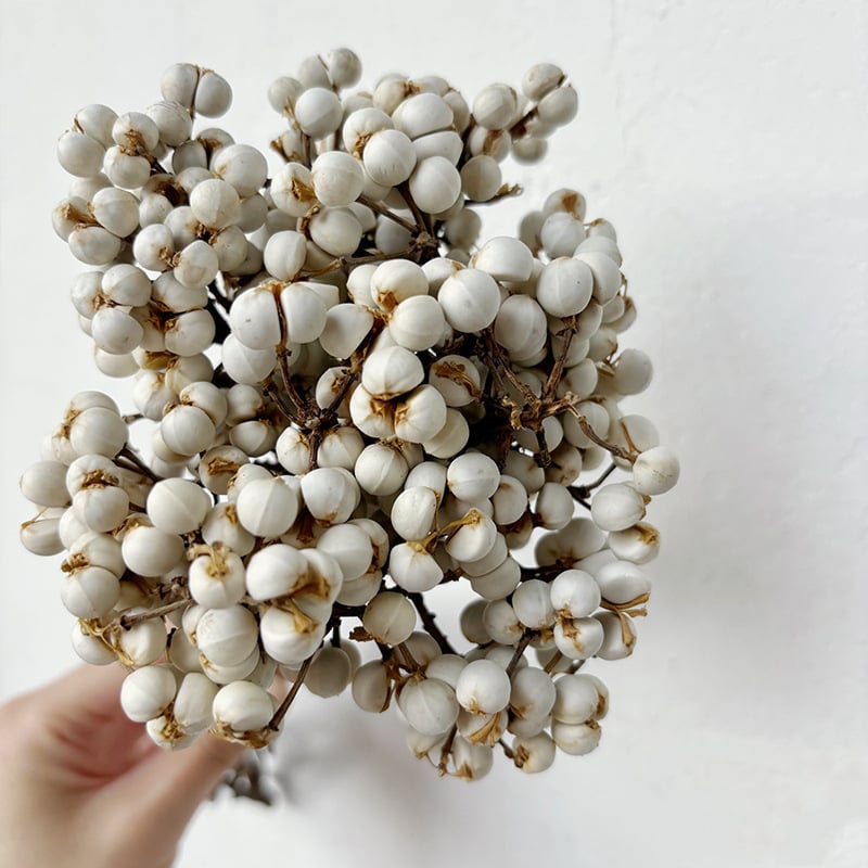 Gyümölcs csokor anyag: gyümölcs, ragadós száraz fűvirágok; Fuyao márka; csomagolás: zacskó + papírdoboz