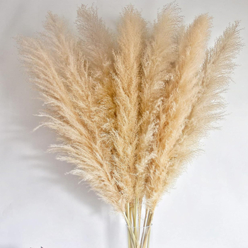 Декорация от сушени цветя с тръстика и pampas трева за сватби и партита | Вариант 1326527568 | Лично подарък