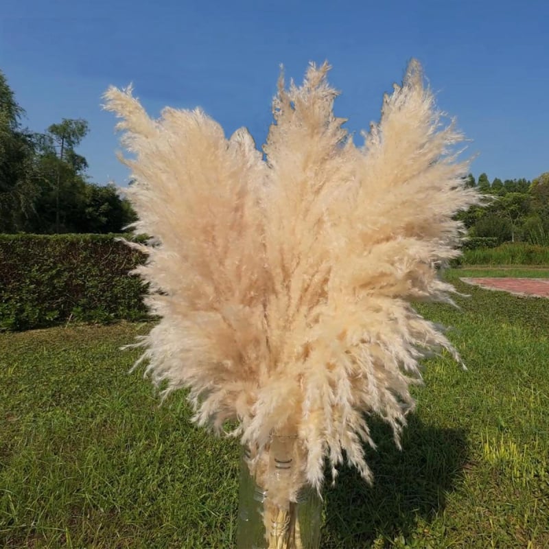 Декорация от сушени цветя с тръстика и pampas трева за сватби и партита | Вариант 1326527568 | Лично подарък