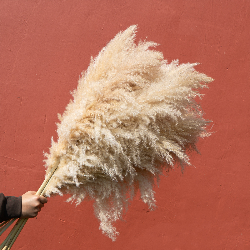 Декорация от сушени цветя с тръстика и pampas трева за сватби и партита | Вариант 1326527568 | Лично подарък