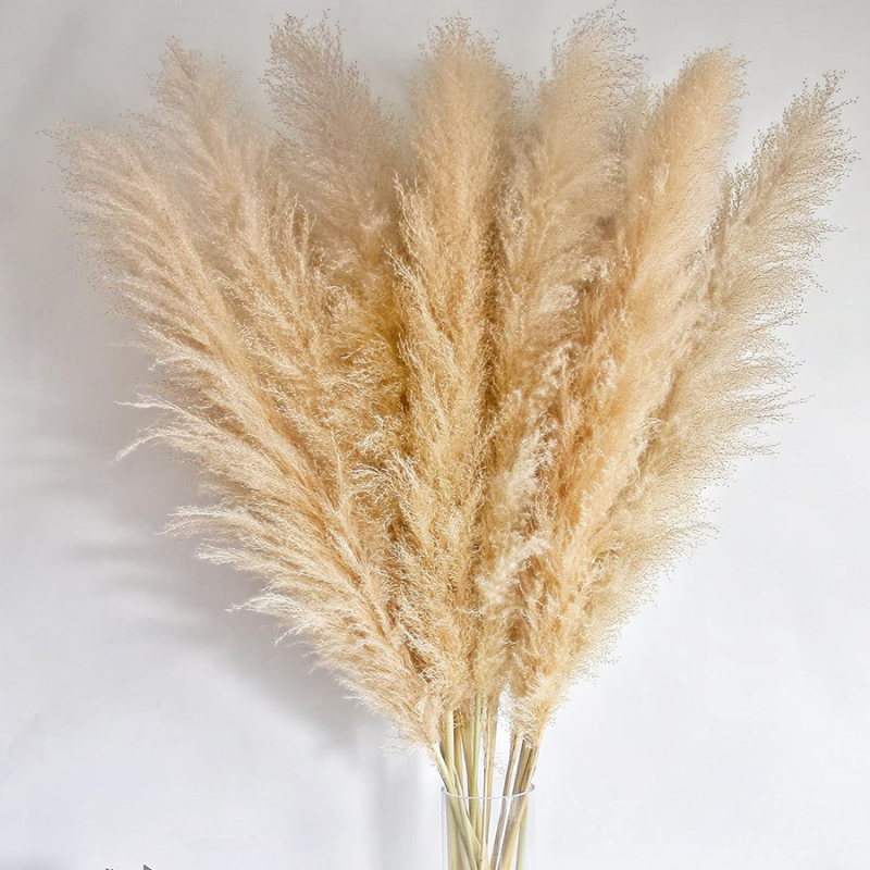 Декорация от сушени цветя с тръстика и pampas трева за сватби и партита | Вариант 1326527568 | Лично подарък
