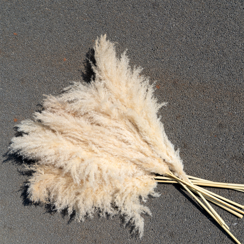 Декорация от сушени цветя с тръстика и pampas трева за сватби и партита | Вариант 1326527568 | Лично подарък