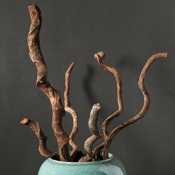 Декоративни сушени клонки с копринени цветя за дневната – извити стъбла, Daisy сорт, Huolin Ceramics