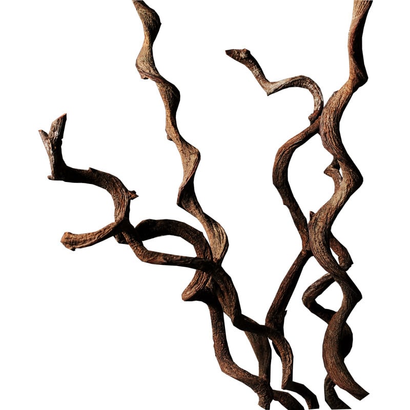 Декоративни сушени клонки с копринени цветя за дневната – извити стъбла, Daisy сорт, Huolin Ceramics