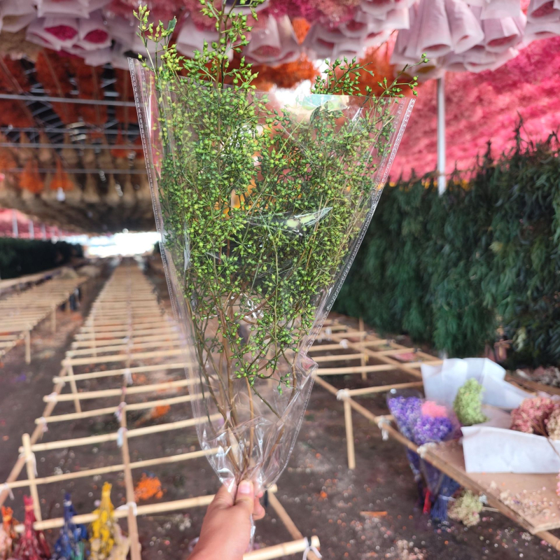 Millet Fruit csokor, szárított levél erek, festett, nem importált