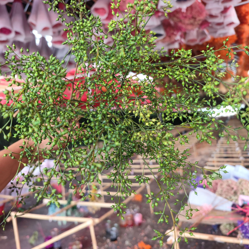 Millet Fruit csokor, szárított levél erek, festett, nem importált