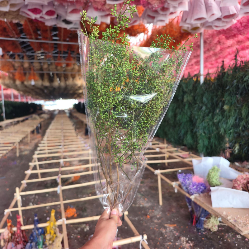 Millet Fruit csokor, szárított levél erek, festett, nem importált