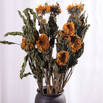 Napraforgó szárított virágok - színezés nélkül, szárított levélerek, csokorhoz, karton csomagolás