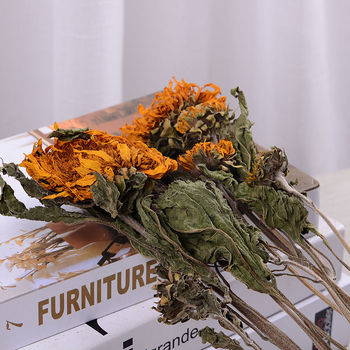 Napraforgó szárított virágok - színezés nélkül, szárított levélerek, csokorhoz, karton csomagolás